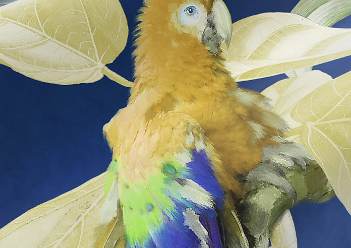 Parrot, Mangrove - Twist&Fit Roman Blind - Image 4